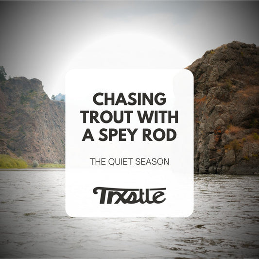 Chasing Trout with a Spey Rod in the Quiet Season