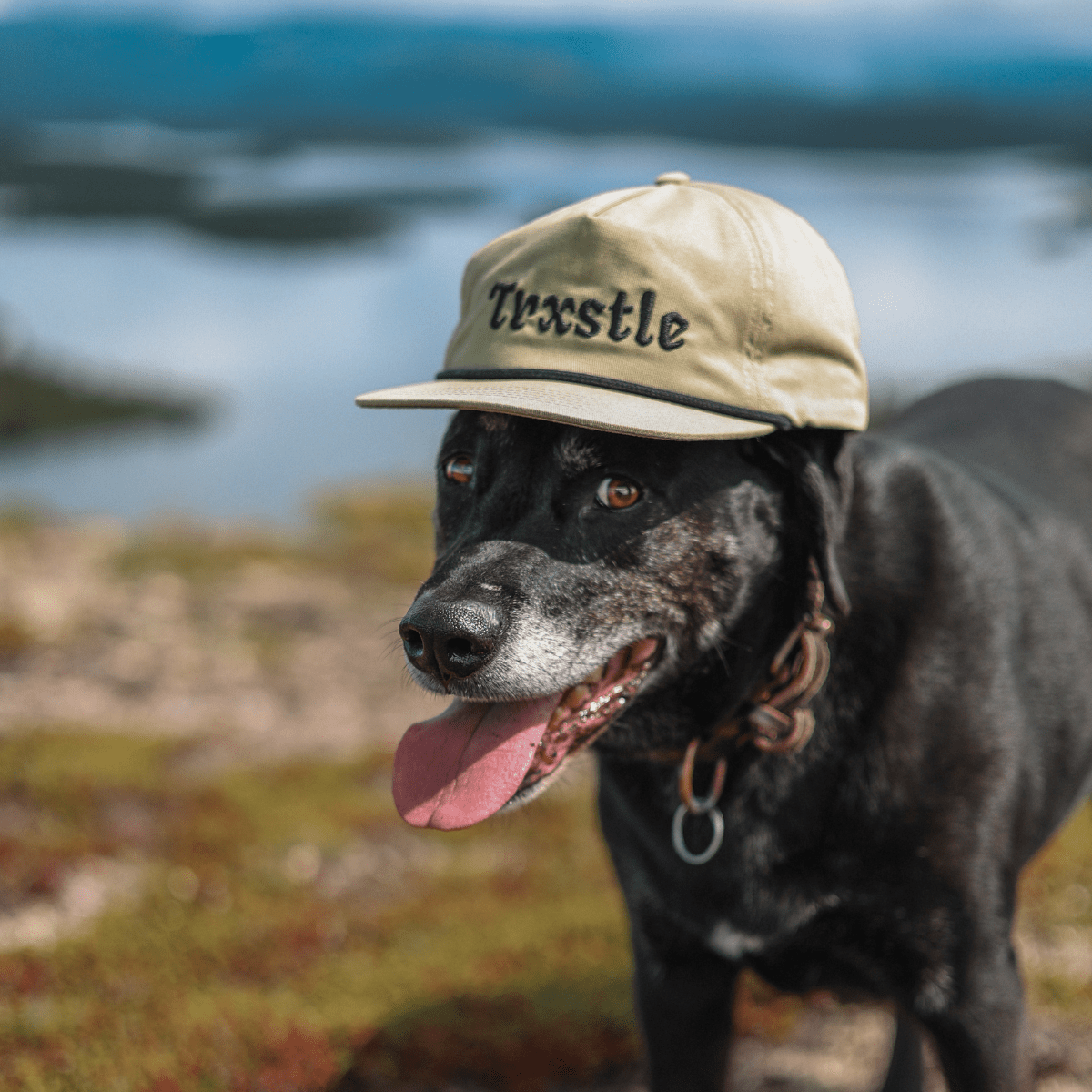 Trxstle Cyclotrode Rope Hat
