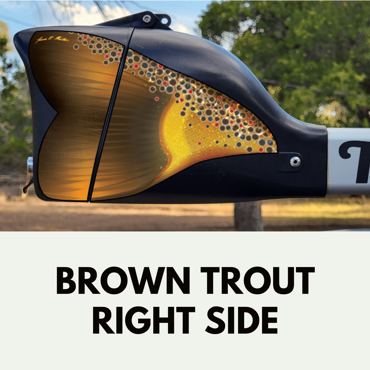 Trxstle Brown Trout Fish Skin