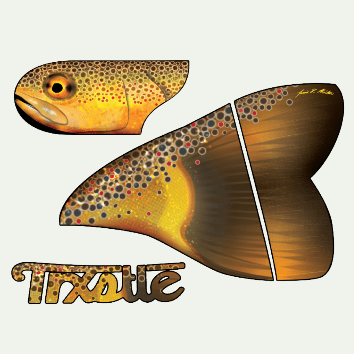 Trxstle Brown Trout Fish Skin Left Side
