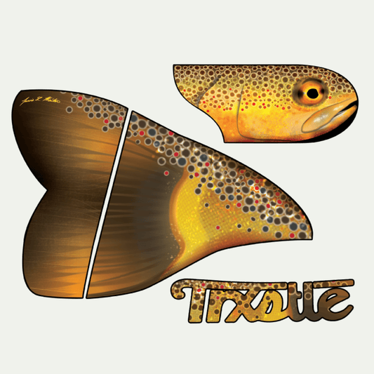 Trxstle Brown Trout Fish Skin Right Side