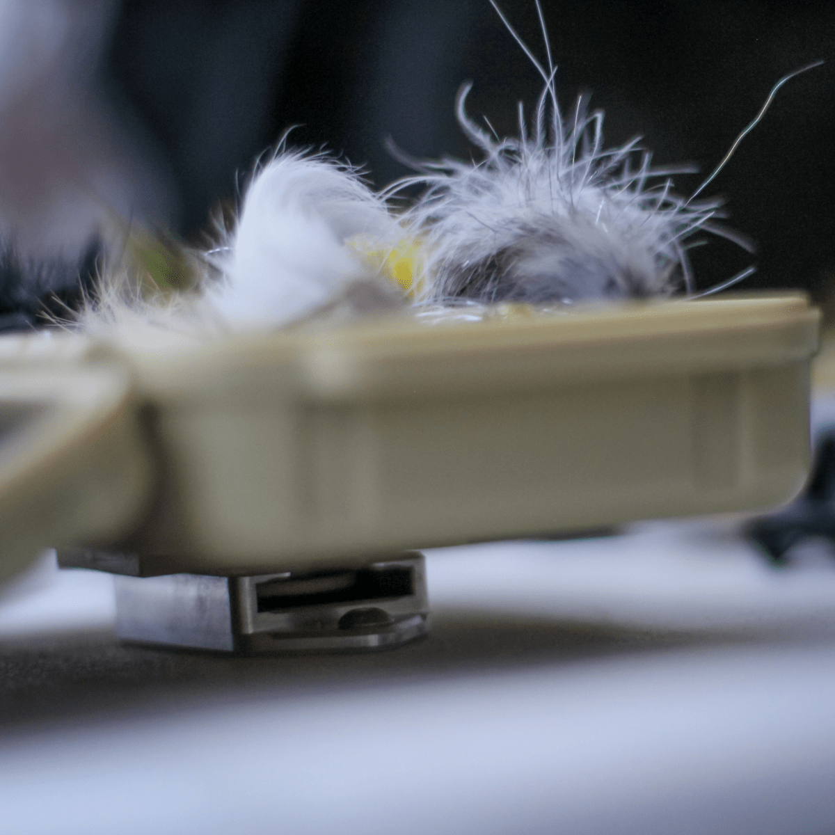 Trxstle FREE - Slip Mount