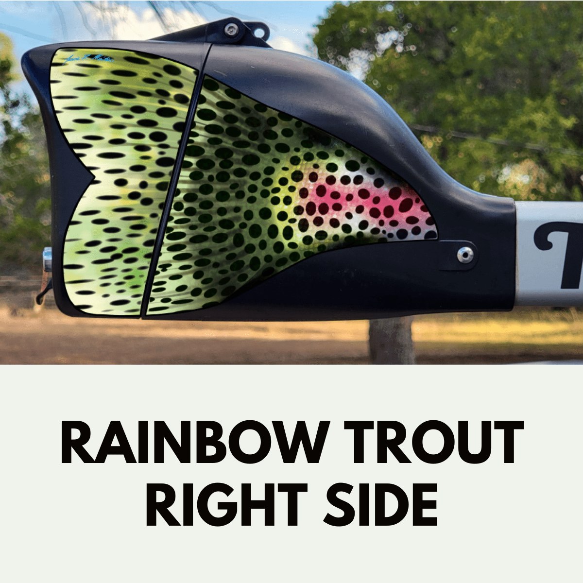 Trxstle Rainbow Trout Fish Skin